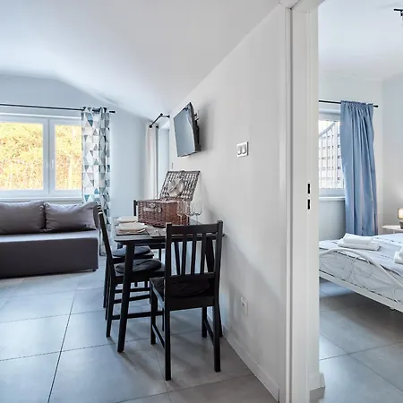 Apartmán Wakacyjne Debina Horyzont *