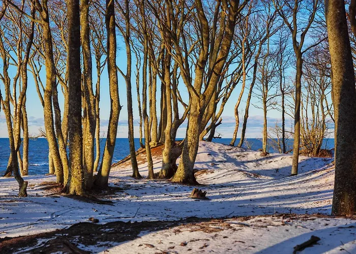 Wakacyjne Debina Horyzont Lägenhet